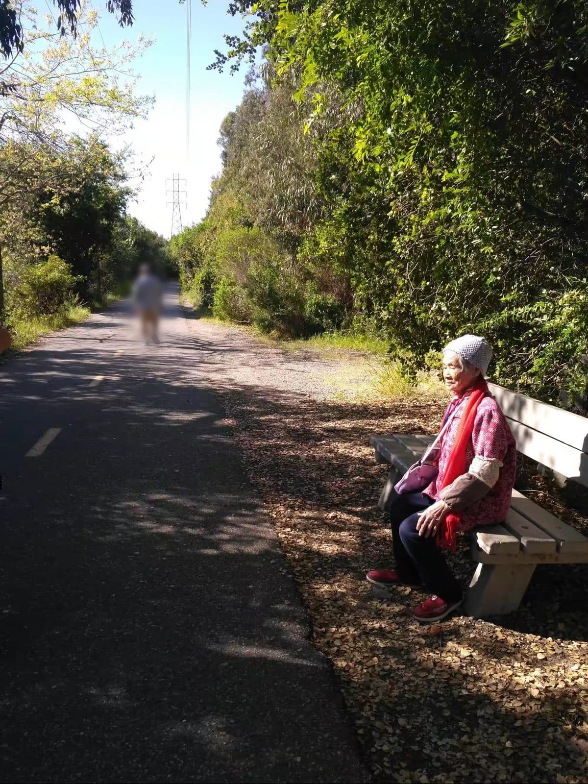 Our mother, 99, resting on a bench beside a sunny walking trail.